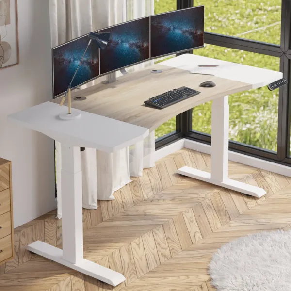 Mxtark 63 inches 1.6M Electric Standing Desk Dual Motor Desk