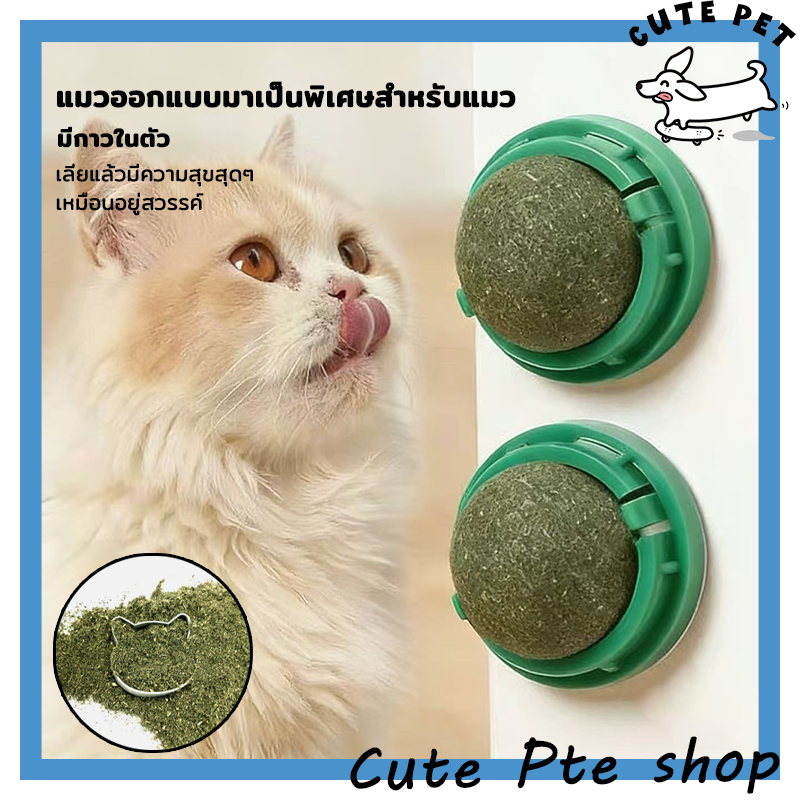 🔥 พร้อมส่ง 🔥กัญชาแมว หญ้าแมว แคทนิปบอล กันชาแมว Catnip Ball กัญชาแมว ขนมแมว ของเล่นแมวเลีย แปะกำแพง ball herb กัญชาแมว แ