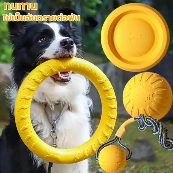 BHQ PET COD ของเล่นหมา จานร่อน ของเล่นลูกบอล แบบโต้ตอบ ความเหนียวสูง ทนทาน สําหรับฝึกสัตว์เลี้ยง สุนัข